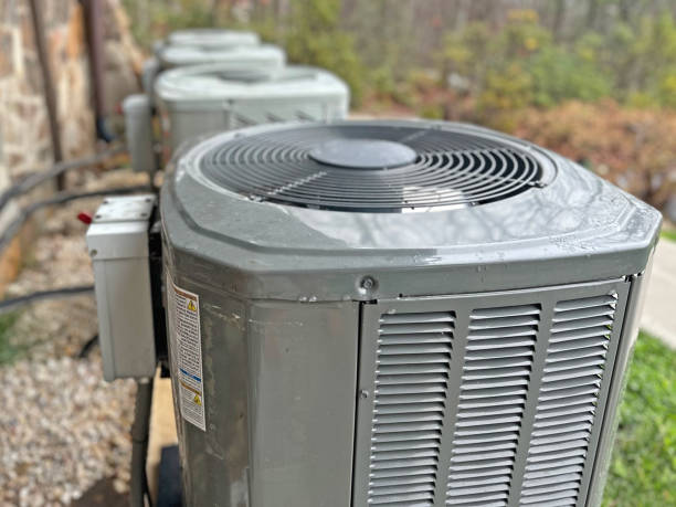 Best Best HVAC Companies  in White Pine, TN